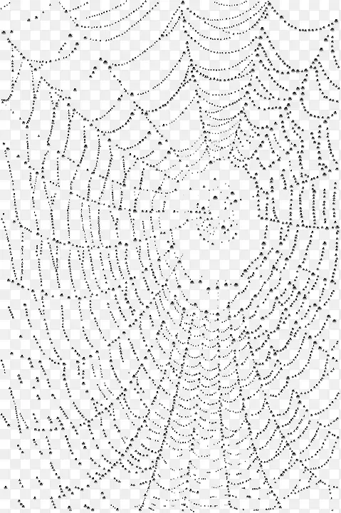 蜘蛛网和水滴素材