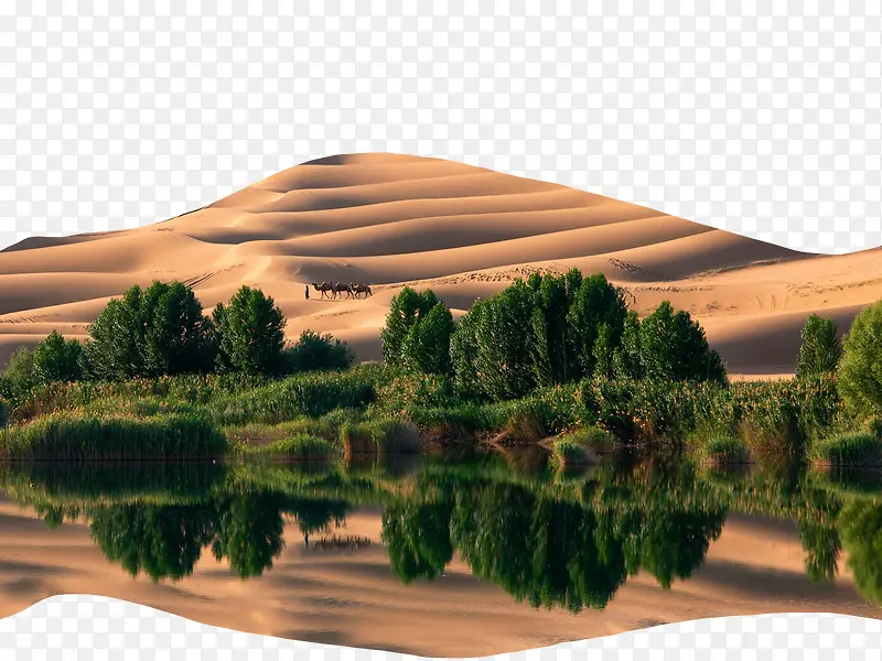 沙漠绿洲
