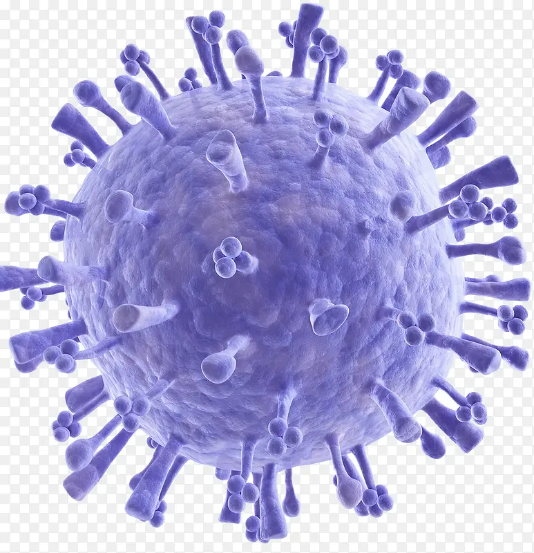 免疫系统病毒细菌