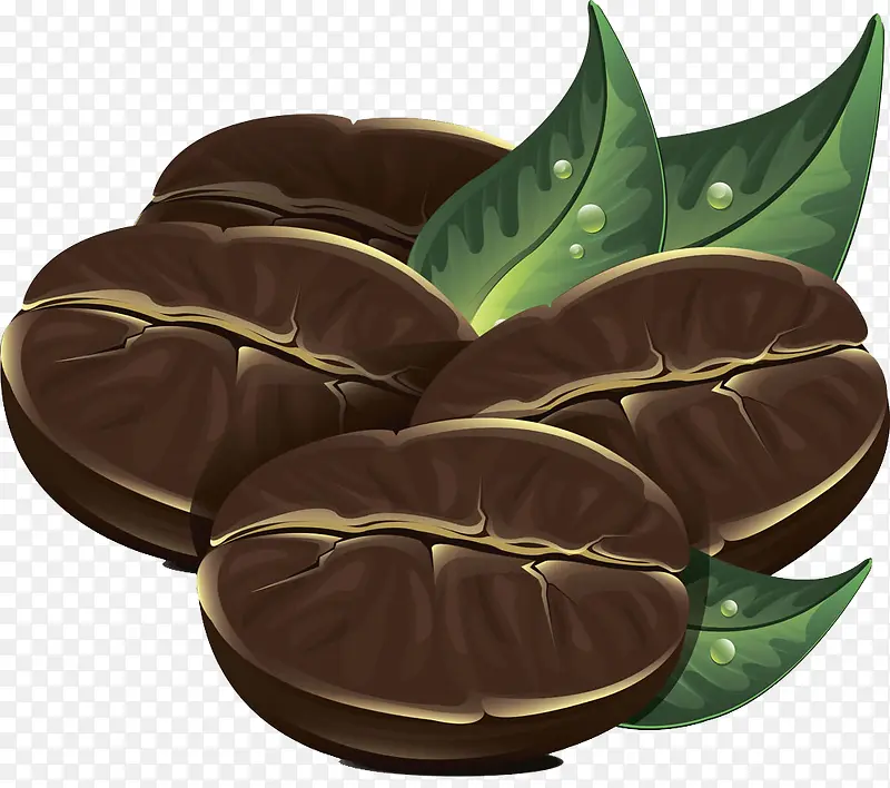 咖啡豆和绿叶插画图片