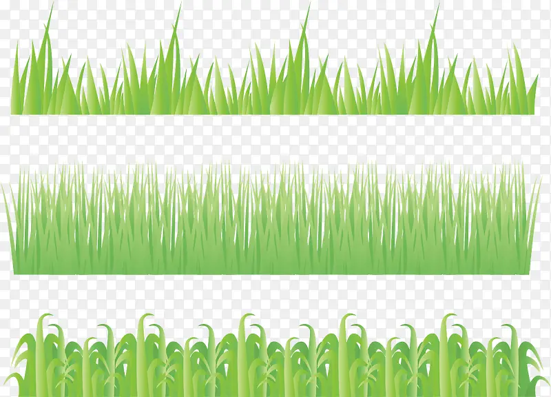 春季绿色小草背景