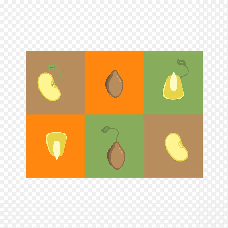 矢量图发芽的豌豆