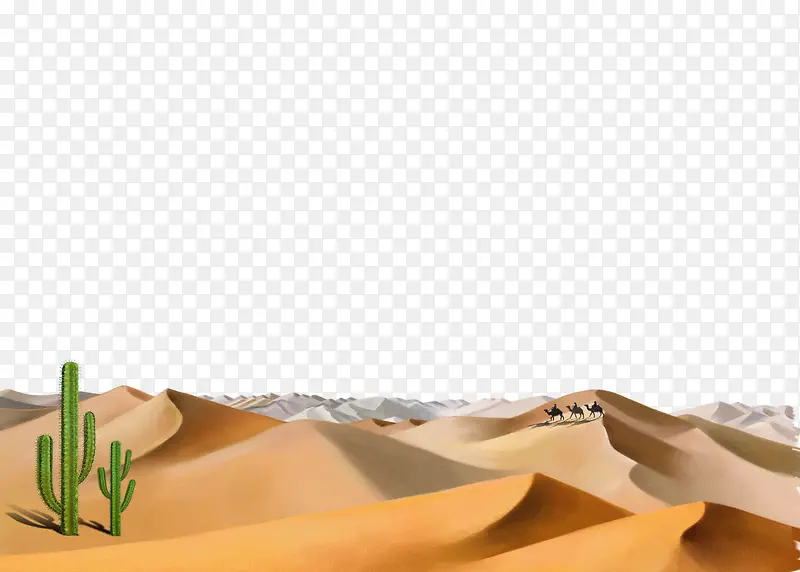 沙丘风景