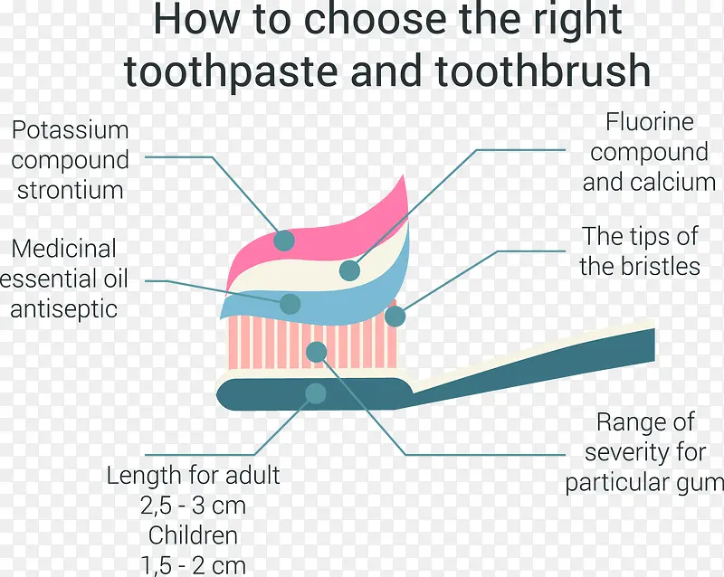 如何选择合适的牙膏信息图表矢量