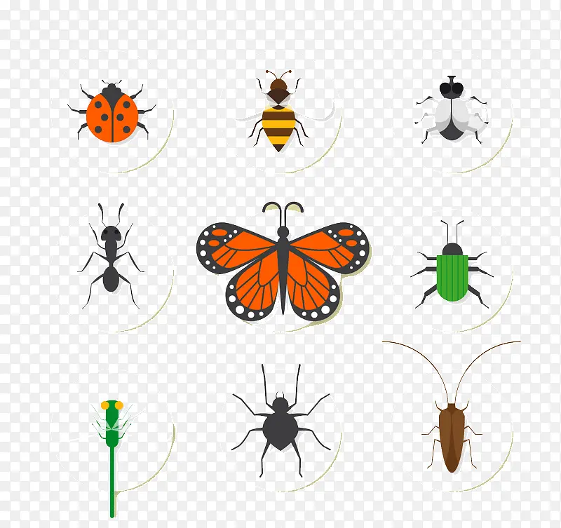 9款精致昆虫图标