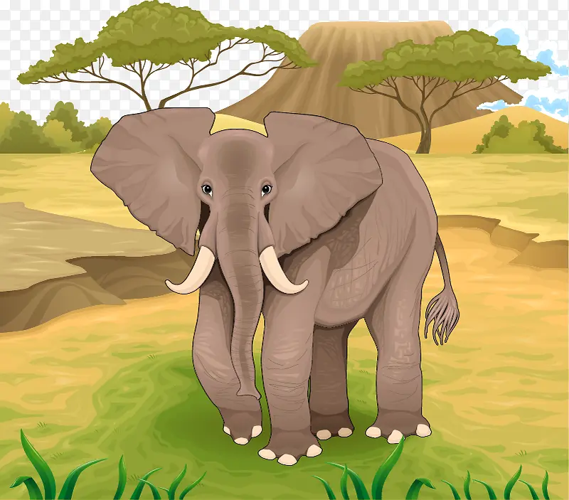 卡通矢量非洲森林大象