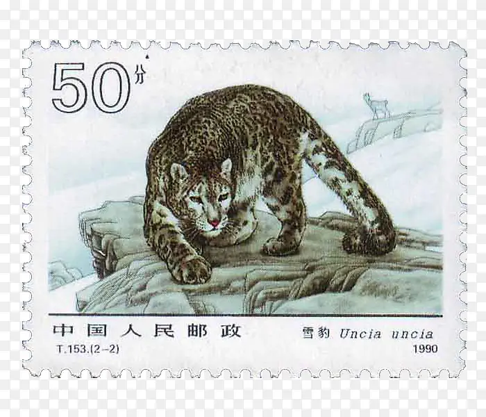 五十分雪豹图案邮票