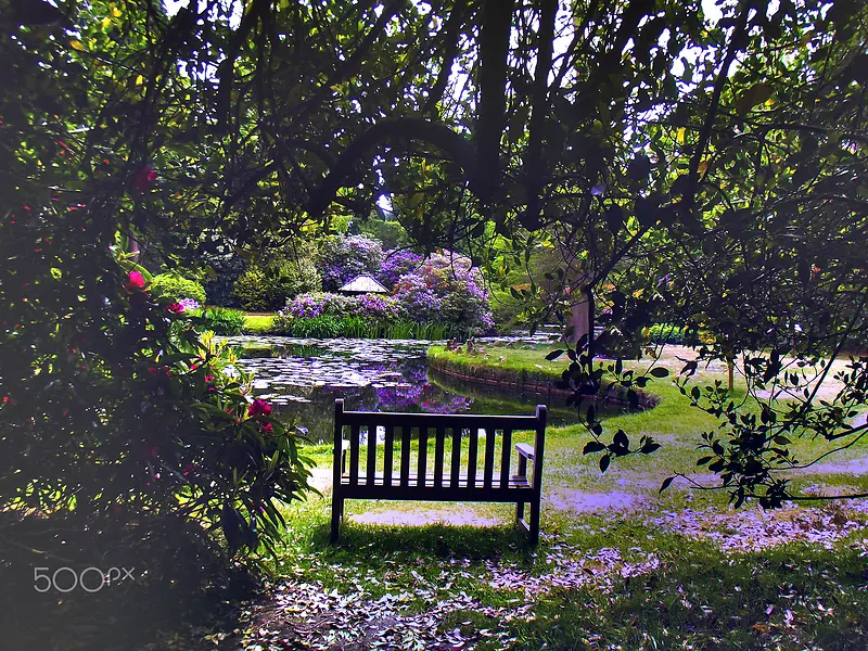 花园中的躺椅海报背景