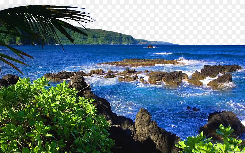 美国夏威夷毛伊岛