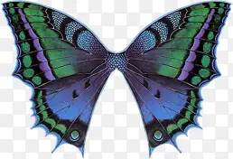 蓝色花纹蝴蝶翅膀PNG透明背景素材