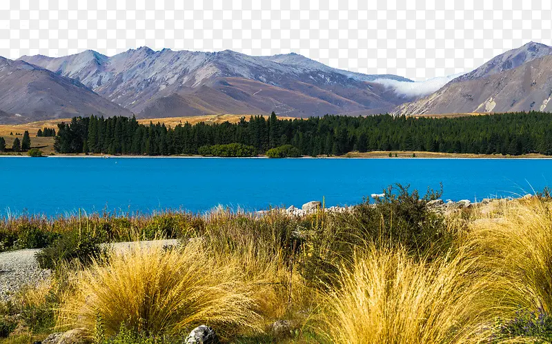 著名新西兰特卡波湖