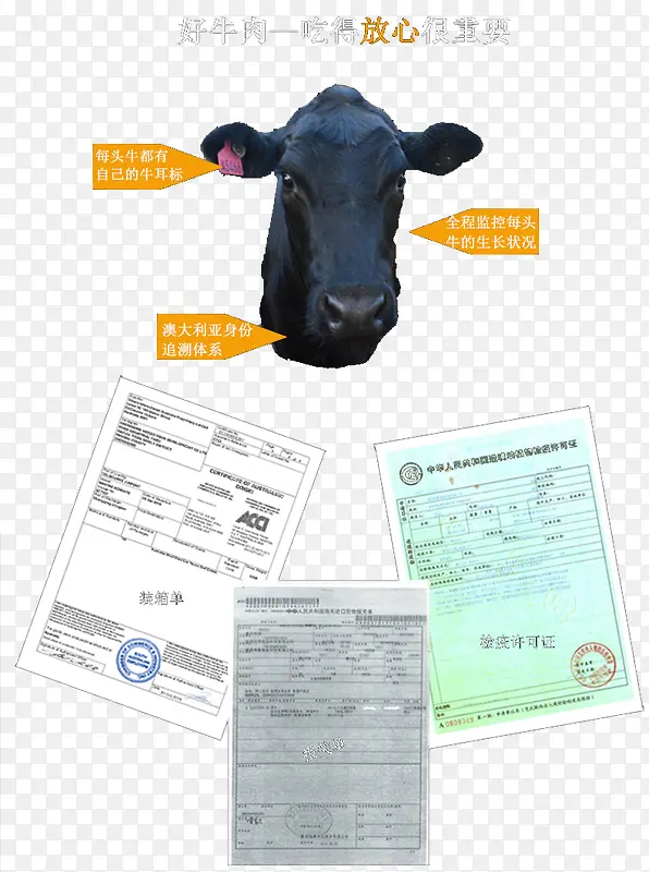 牛头检验报告