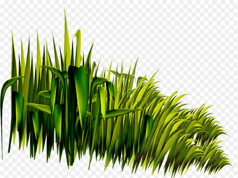 茂盛生长的小草草本植物立绘