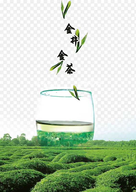 绿茶茶叶素材背景