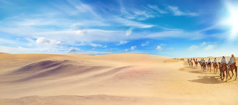 沙漠骆驼宽屏背景