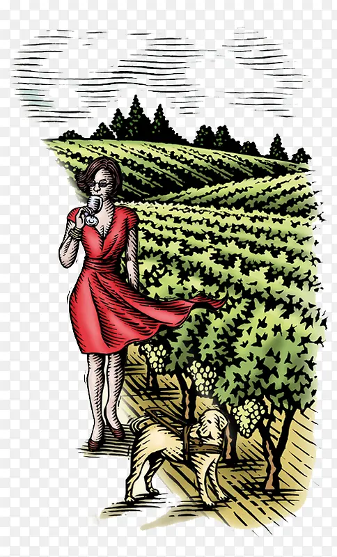 红酒庄园和红衣女人
