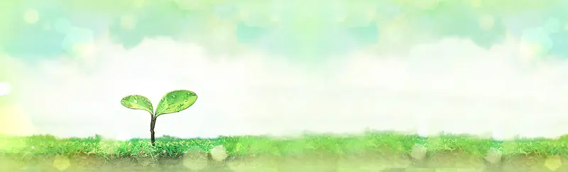 卡通手绘小草发芽背景banner