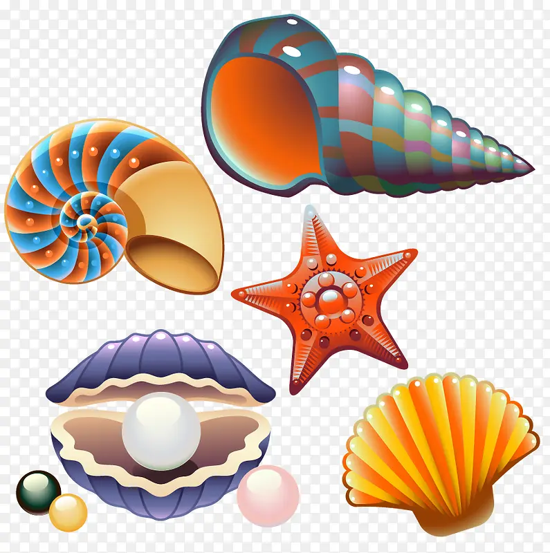 贝壳和海类素材