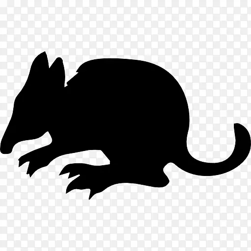 袋鼠的哺乳动物的轮廓侧面图标