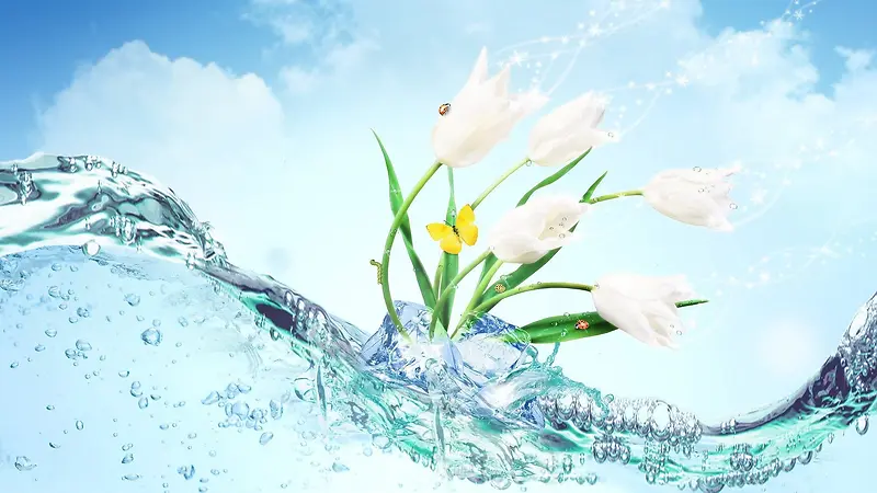 透明水流白色兰花海报背景