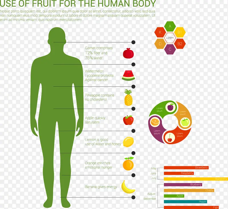 水果用于人体的用途图表矢量素材