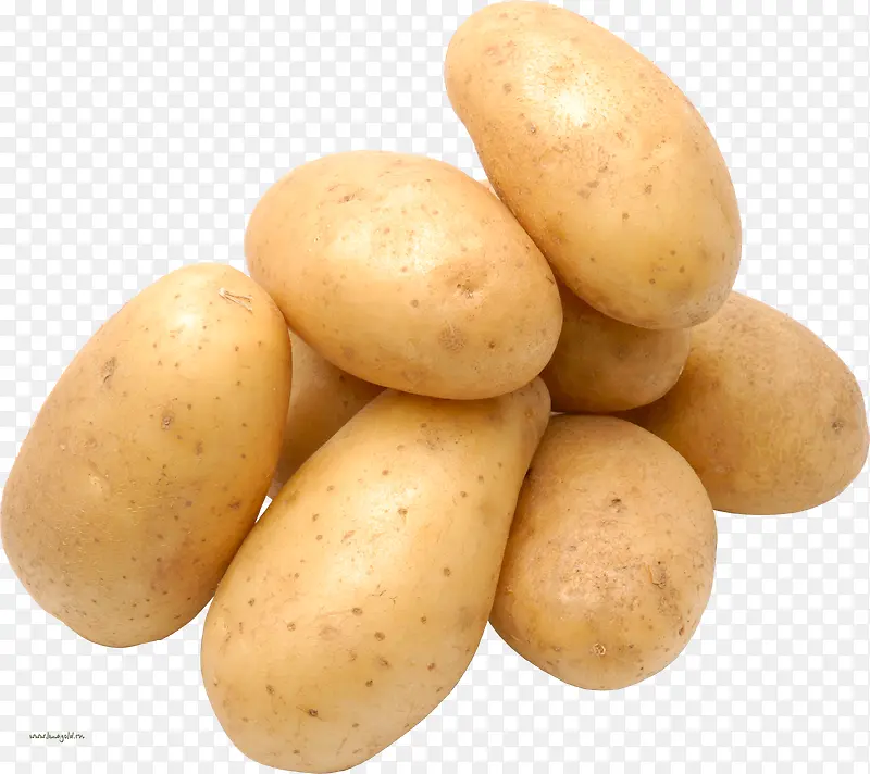 新晋主粮之土豆