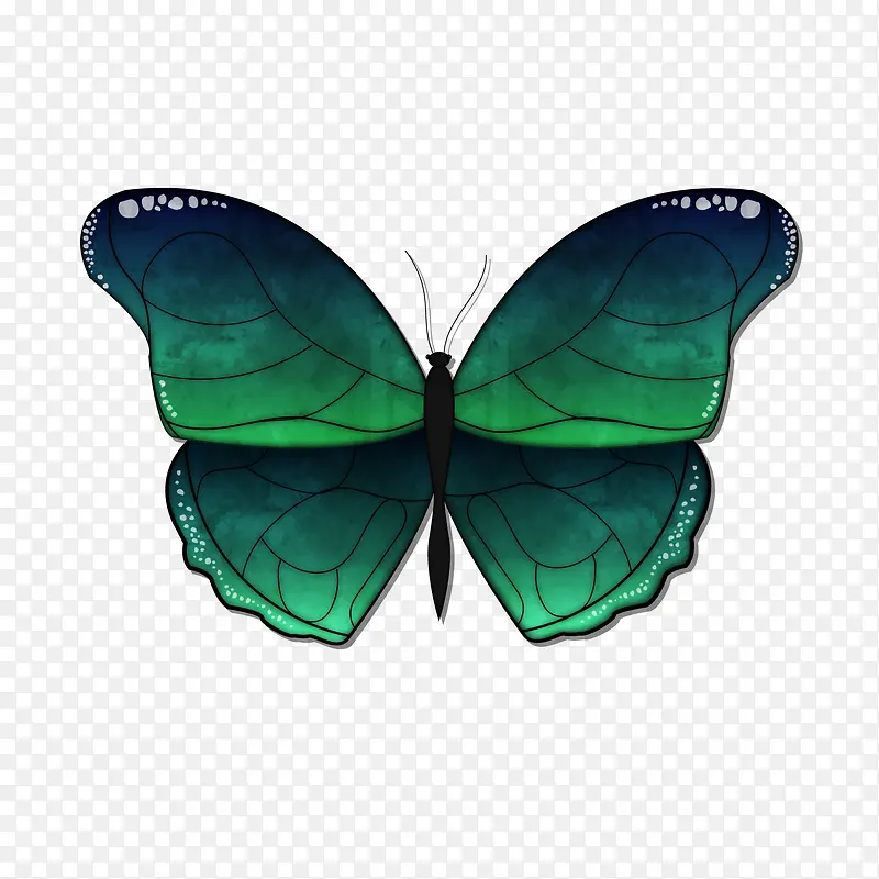 精美绿色蝴蝶矢量图