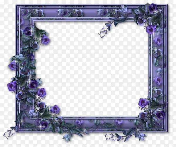 紫色神秘花藤相框