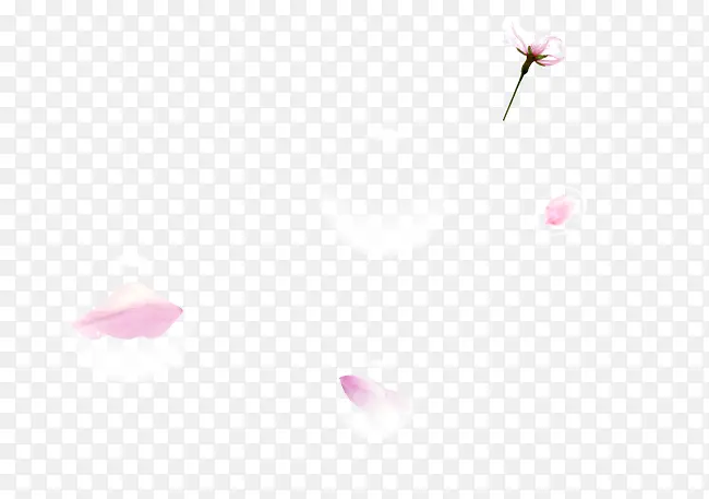 透明气泡花瓣花