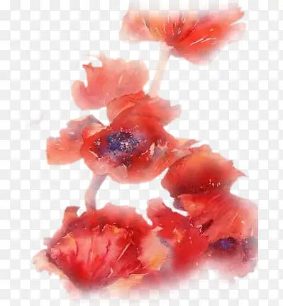 手绘水彩复古红花