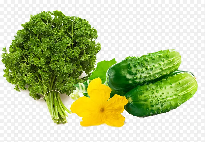 两种蔬菜