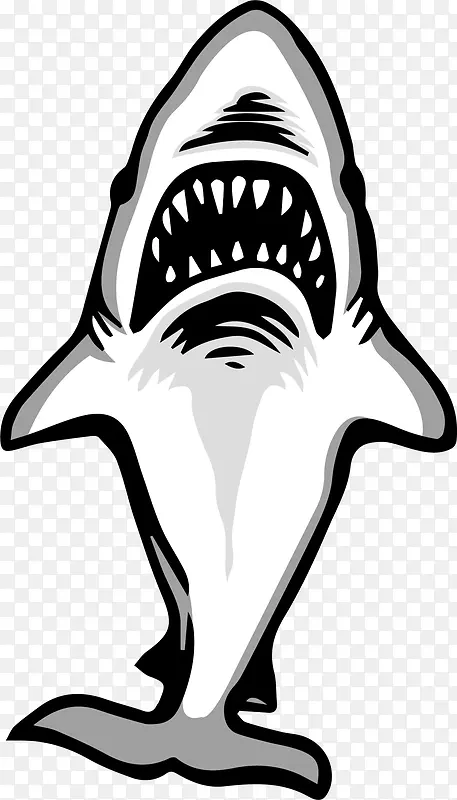 灰色立体凶猛鲨鱼