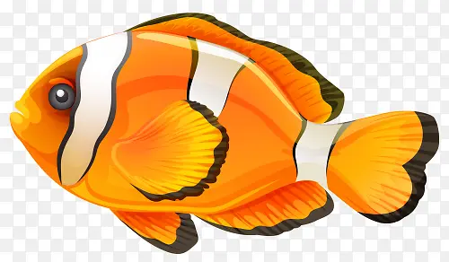 橙色斑纹鱼免抠素材