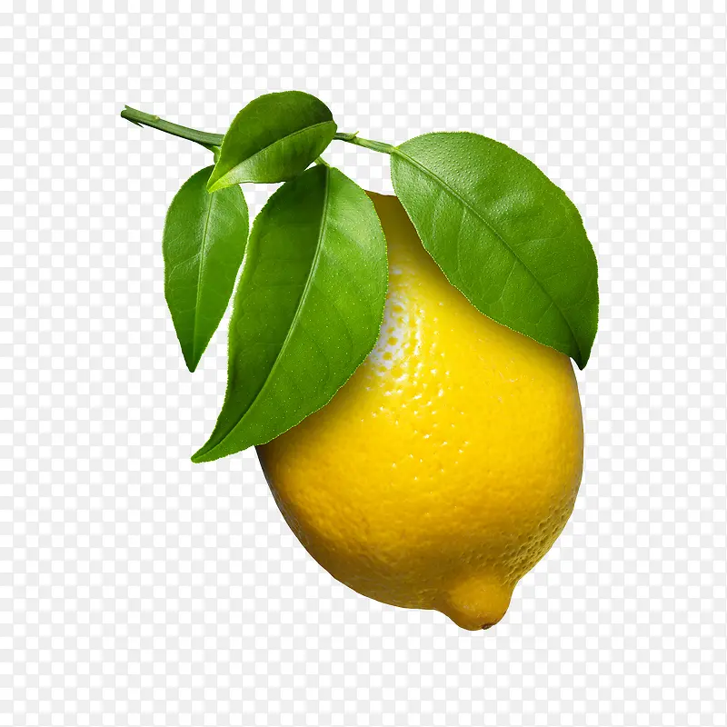 新鲜实物柠檬设计素材