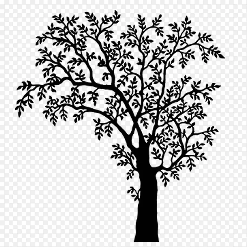 黑白树枝树木