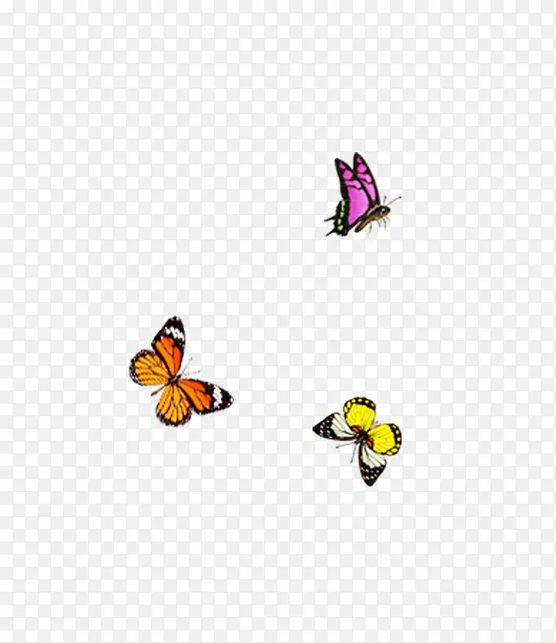 一组彩色蝴蝶透明素材