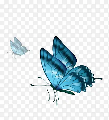 唯美精美蓝色蝴蝶