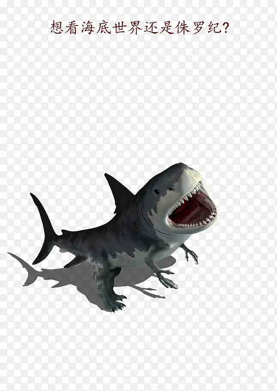 凶猛鲨鱼