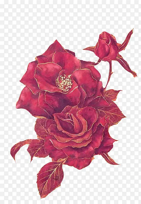 红色玫瑰花带刺的玫瑰