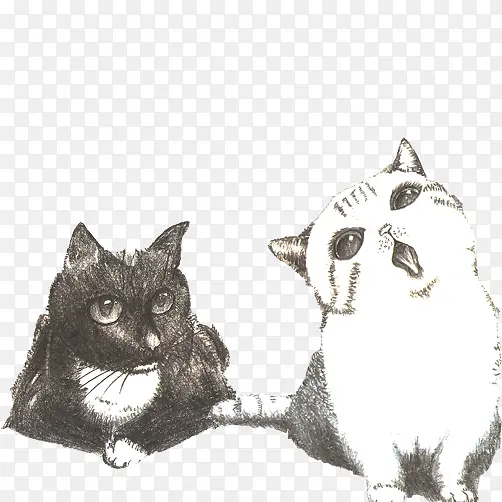 素描猫咪素材图片