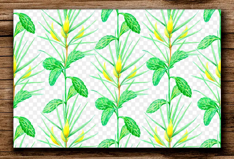 手绘植物图案木纹边框