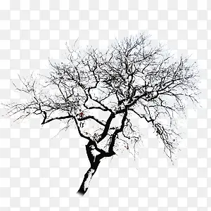 黑白雪天干枯树枝
