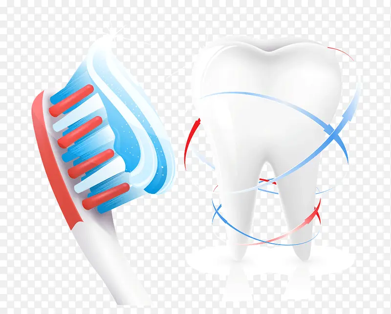 牙刷牙齿健康矢量图