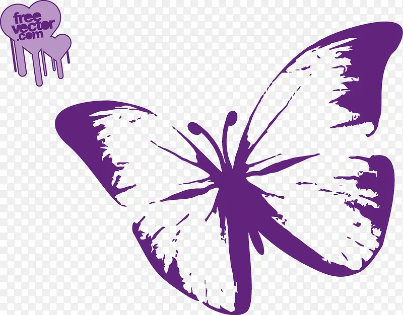 紫色的蝴蝶