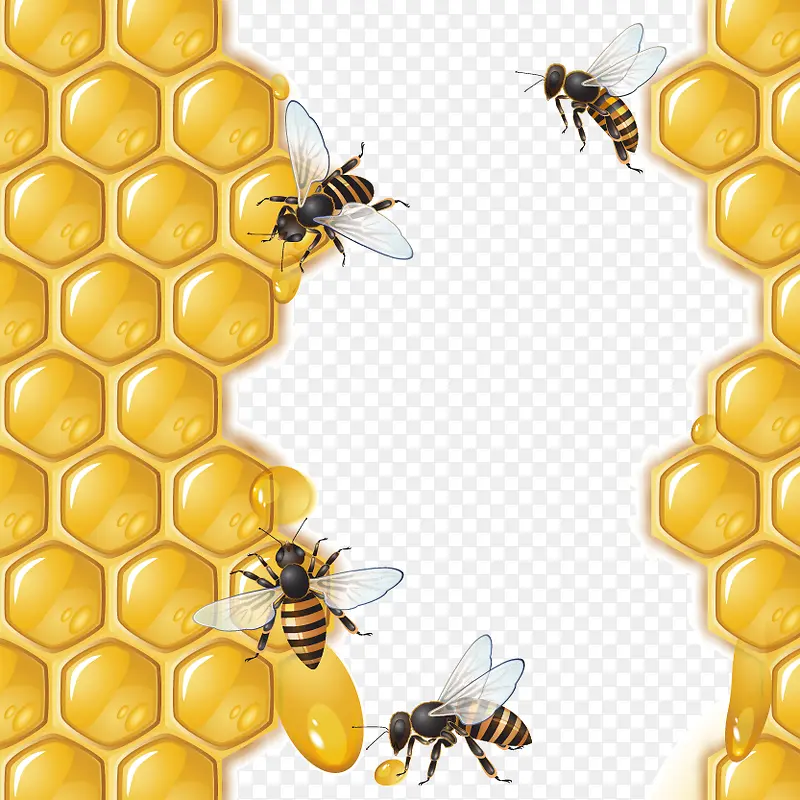 黄色蜂巢和蜜蜂