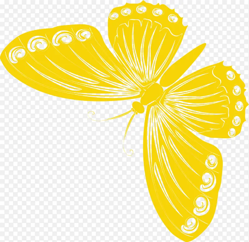 唯美黄色蝴蝶