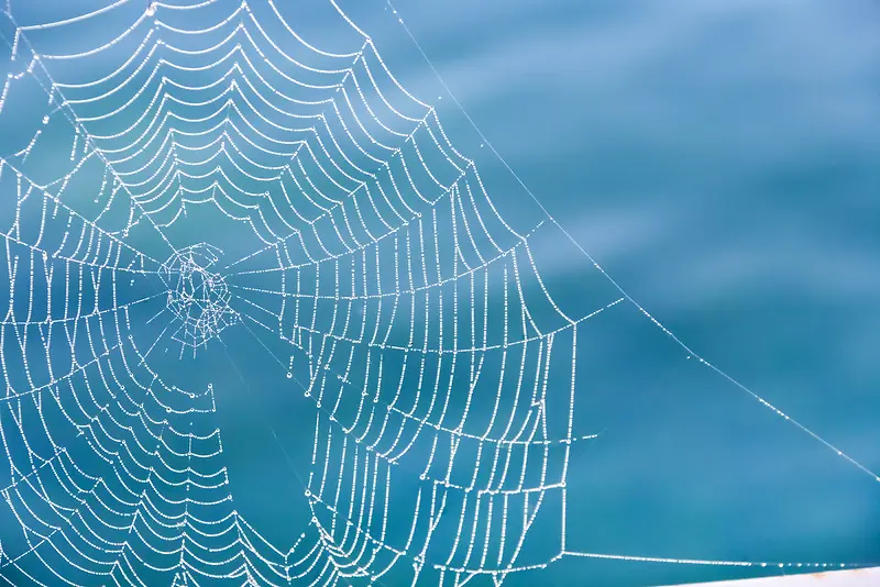 蓝色蜘蛛网织网背景