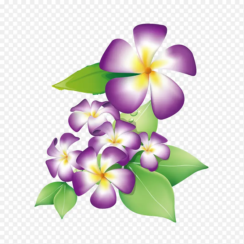 紫色花纹花叶图案
