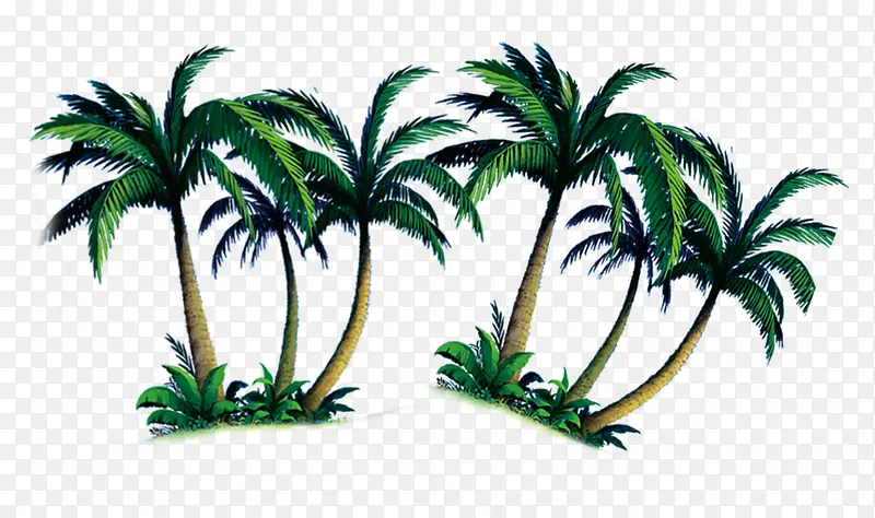 两组椰子树