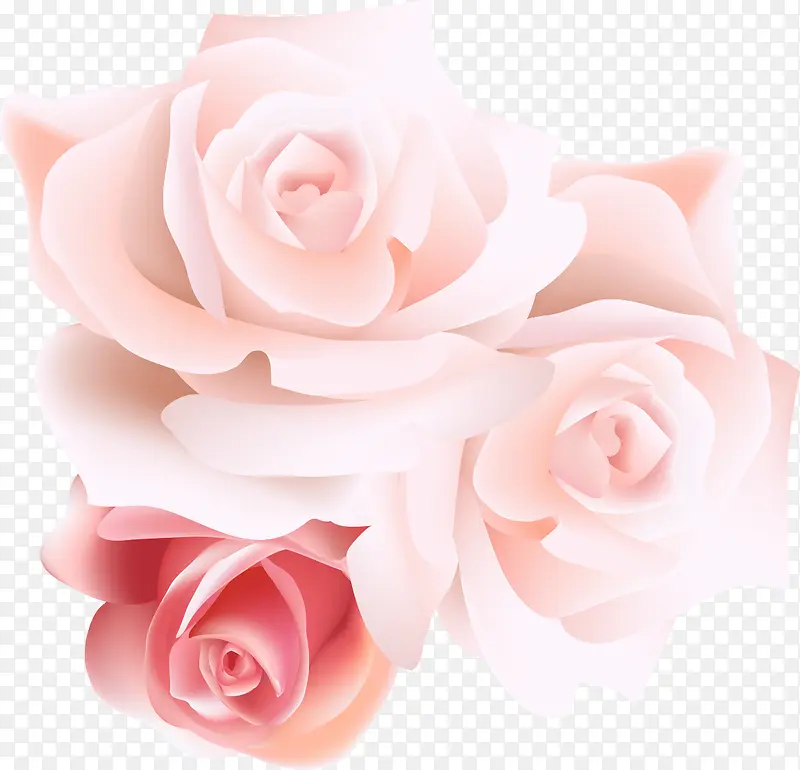手绘质感粉红色质感玫瑰花